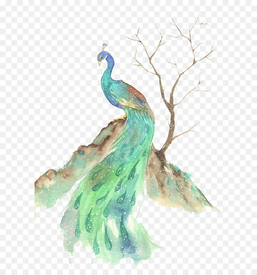 Aves，Pintura Em Aquarela PNG
