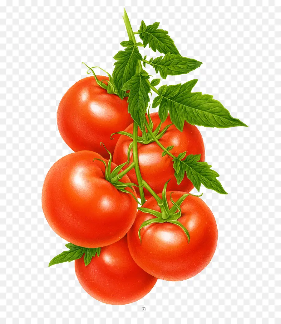 Suco De，O Suco De Tomate PNG