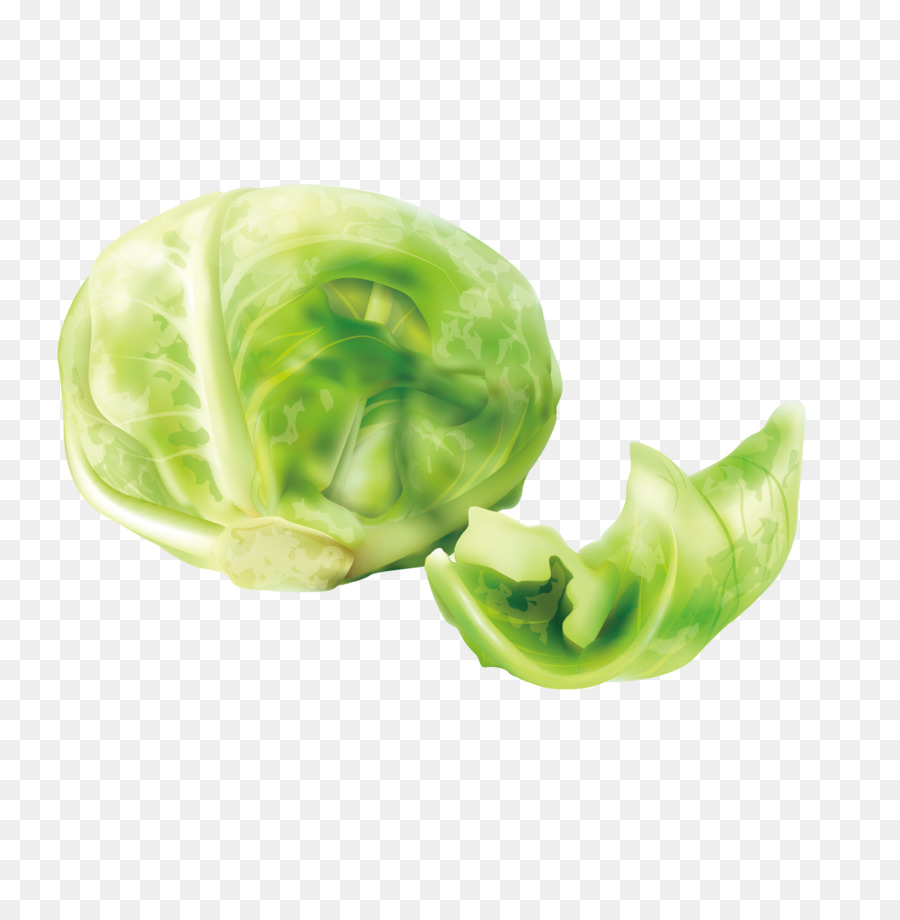 Couve De Bruxelas，Verde PNG