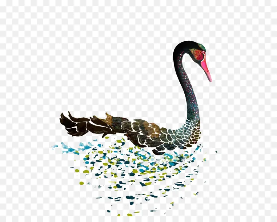 Cisne，Pássaro PNG