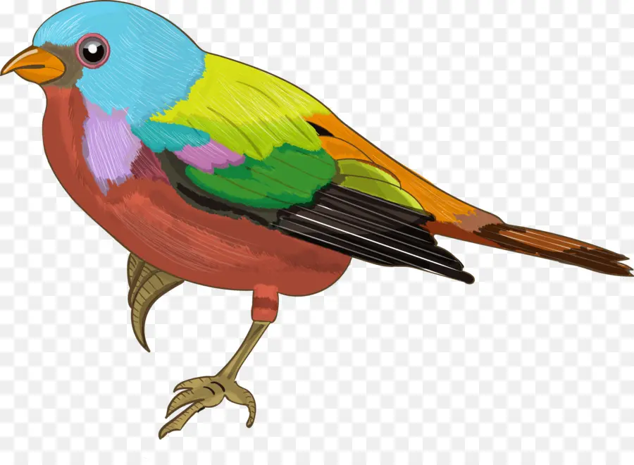 Pardal，Aves PNG