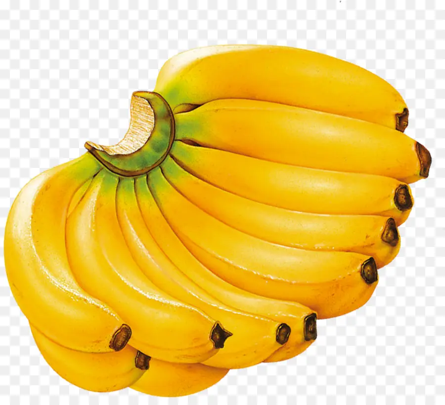 Bananas，Amarelo PNG