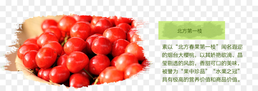 Tomate，Cereja PNG