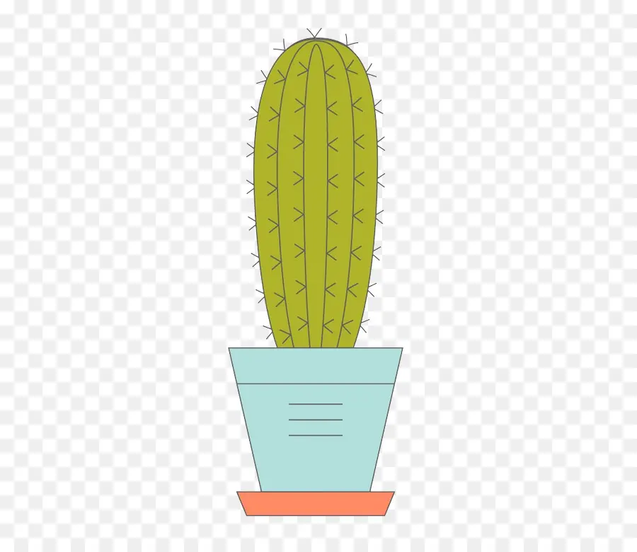 Cactaceae，Flowerpot PNG