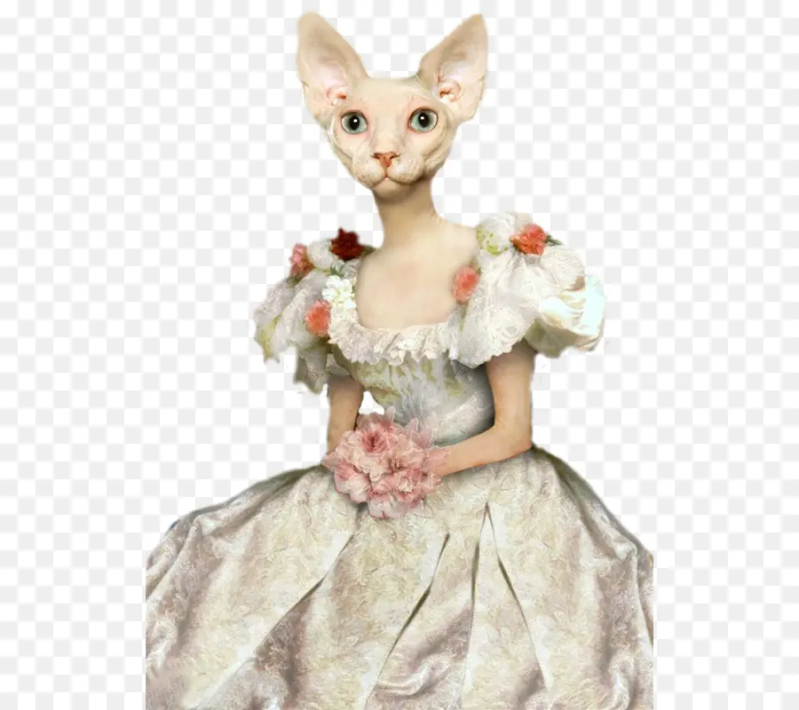 Gato De Vestido，Gato PNG