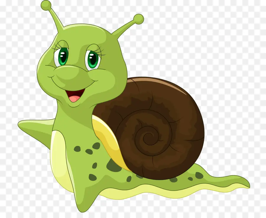 Caracol，Cartoon PNG