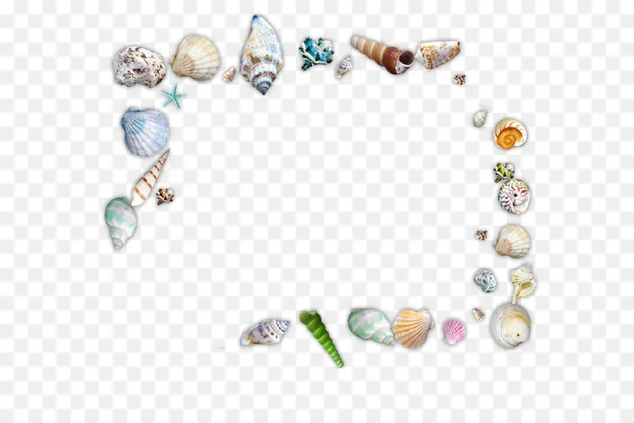 Frutos Do Mar，Seashell PNG