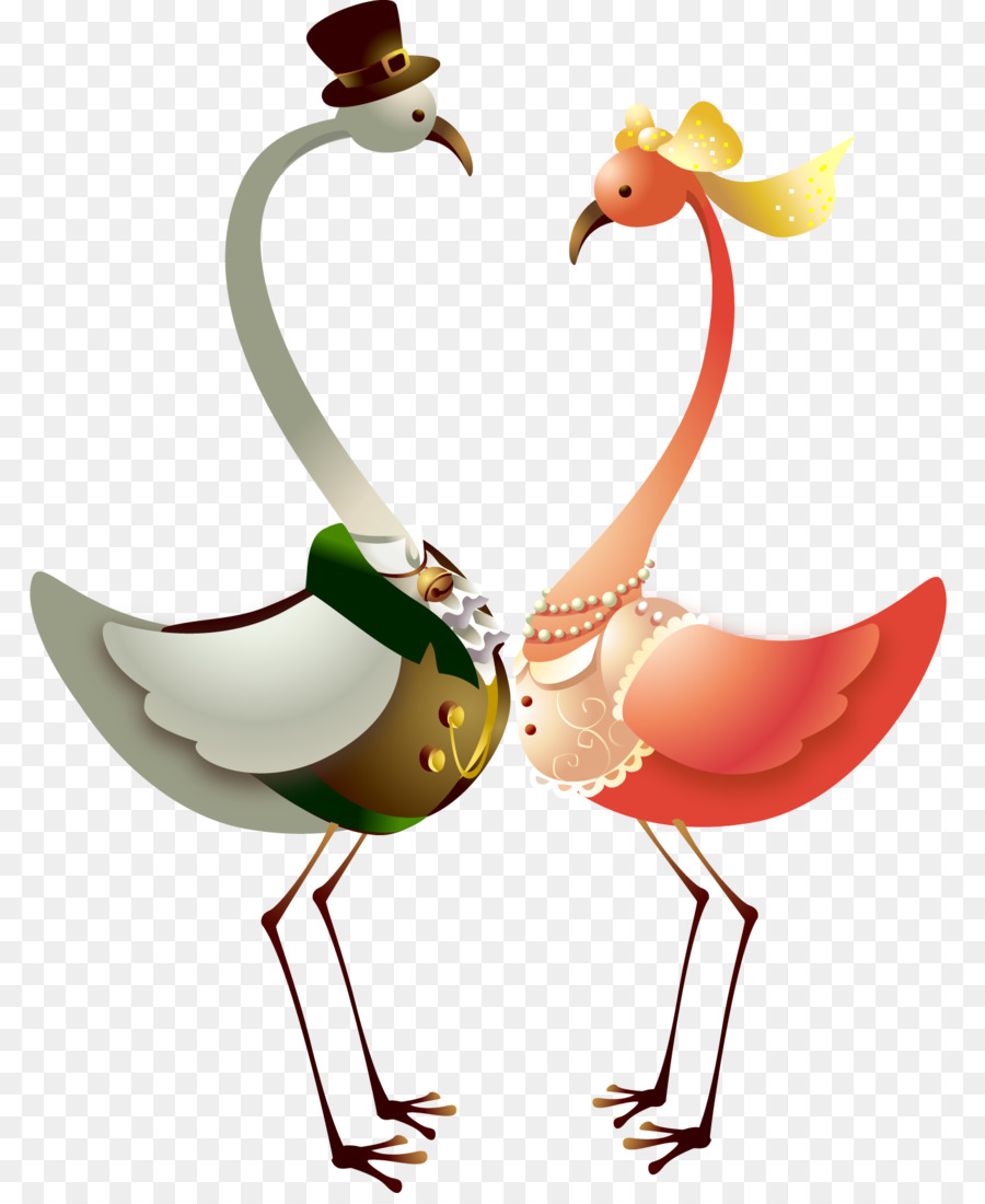 Pássaros De Desenho Animado，Casal PNG