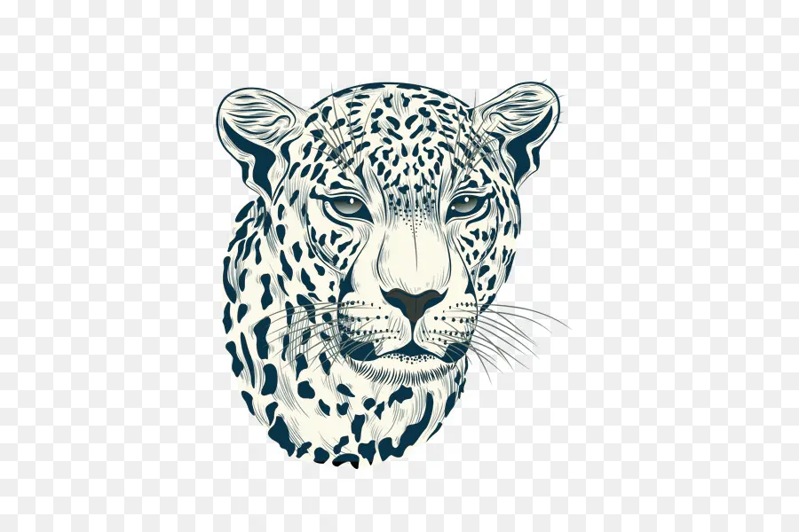 Cheetah，Jaguar PNG