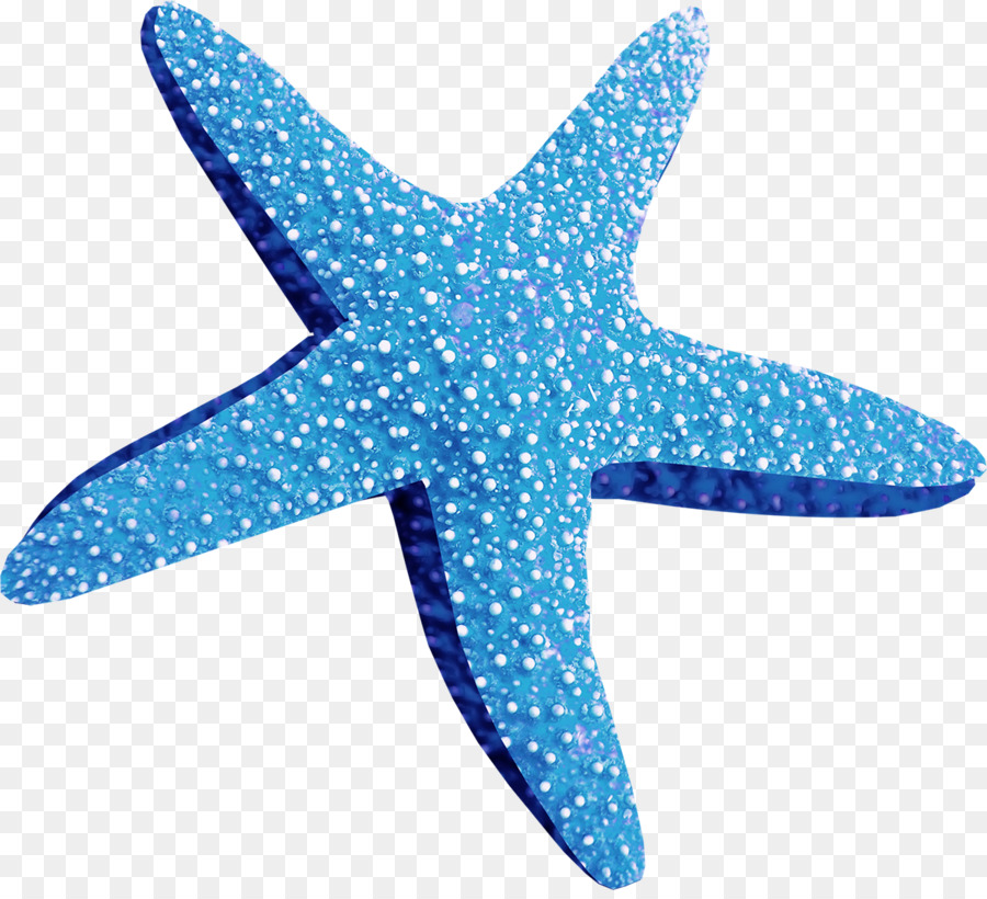 Морская звезда мультяшная на прозрачном фоне
