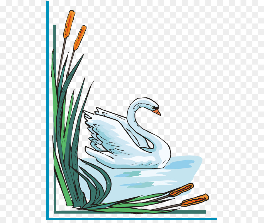 Cisne，Água PNG