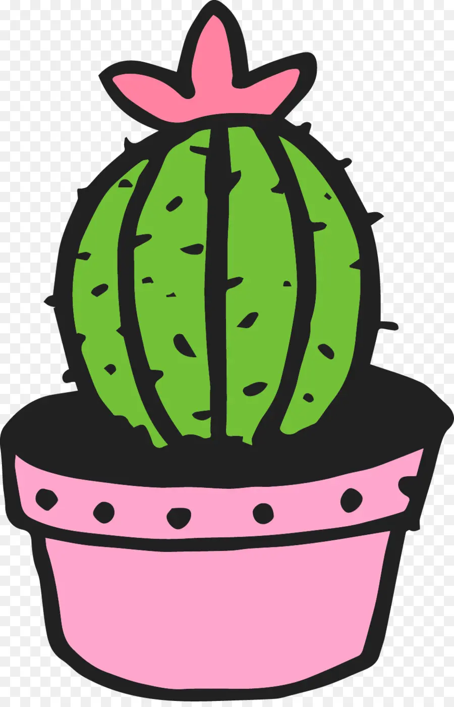 Scalable Vector Graphics，Cactaceae PNG