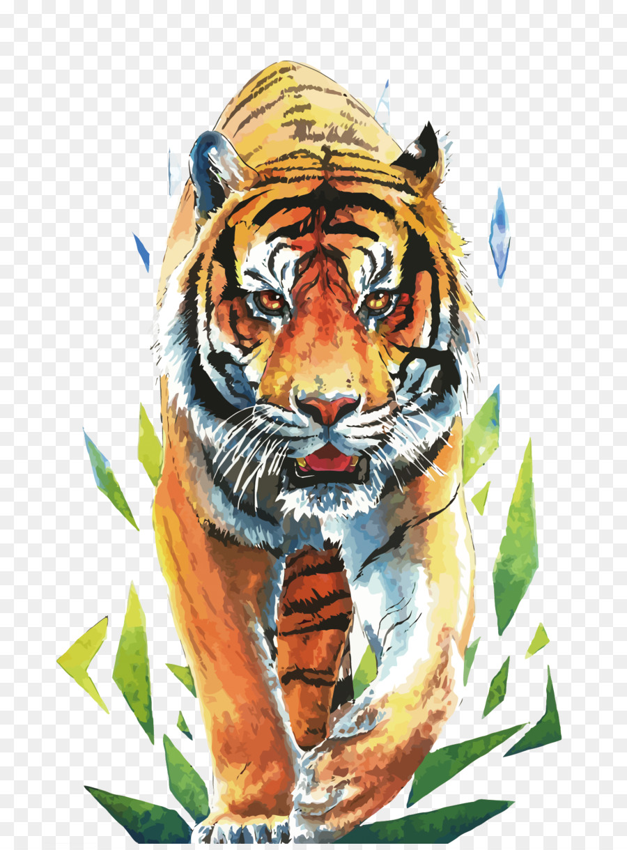 siberian tiger desenho tigre png transparente grátis