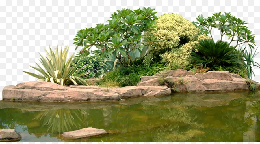 Paisagem，Jardim PNG