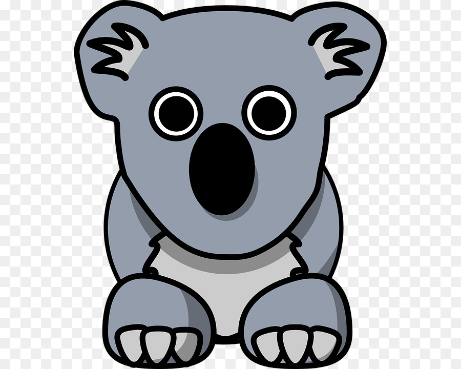 Koala，Cartoon PNG