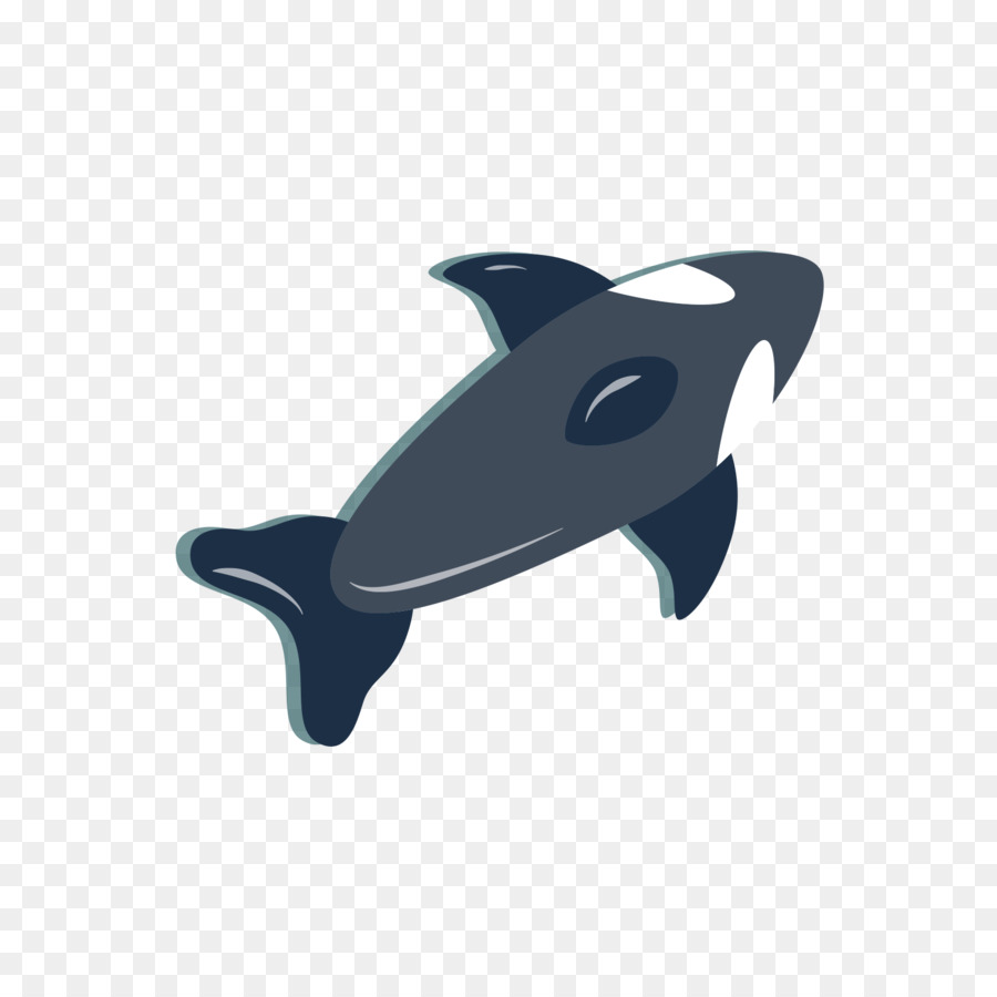 Dolphin，Brinquedo PNG