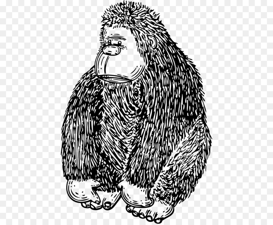 Gorila，Conteúdo Grátis PNG