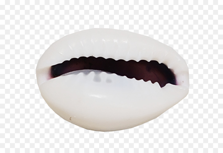 Criatividade，O Caracol Marinho PNG