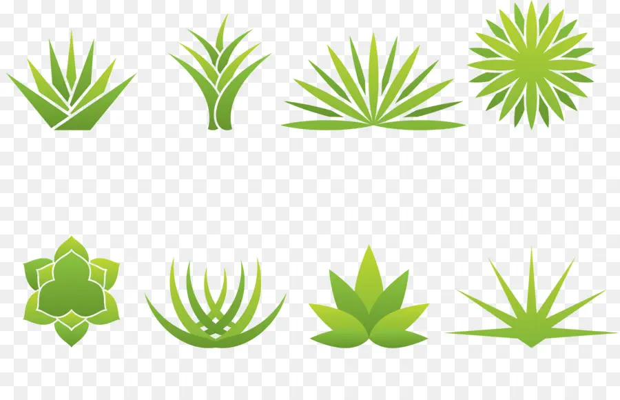 Plantas，Verde PNG