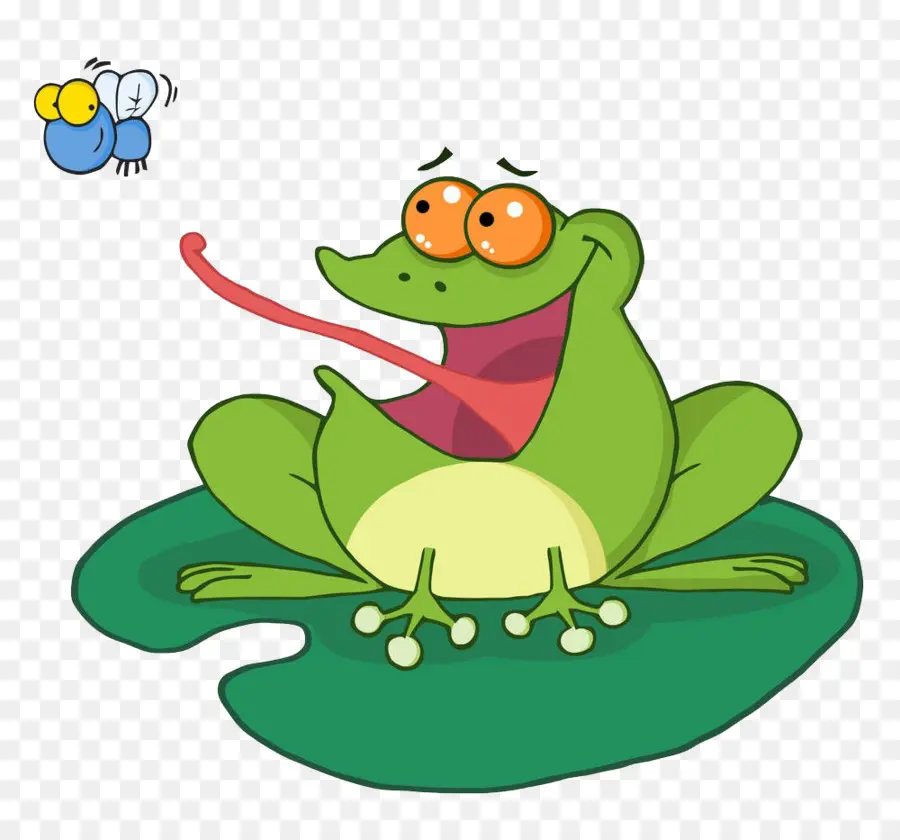 Sapo Com Mosca，Sapo PNG