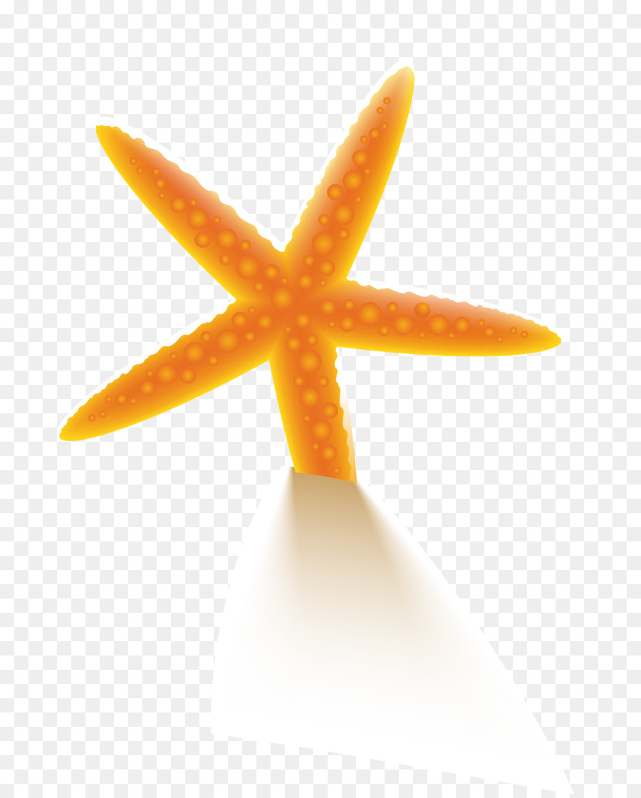 Estrela Do Mar，Laranja PNG