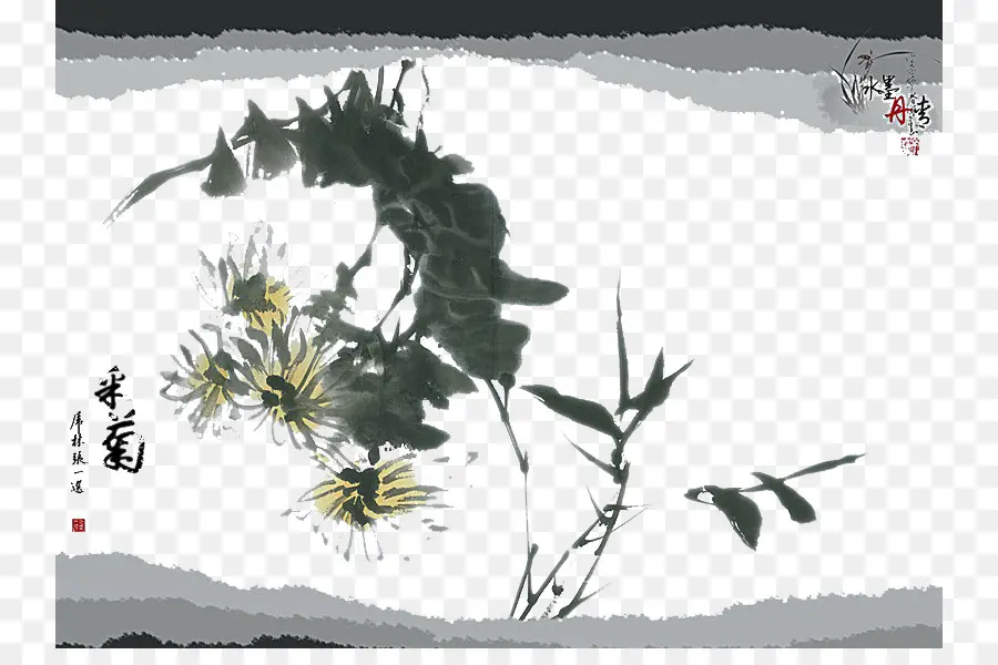 Pintura De Flores，Preto E Branco PNG