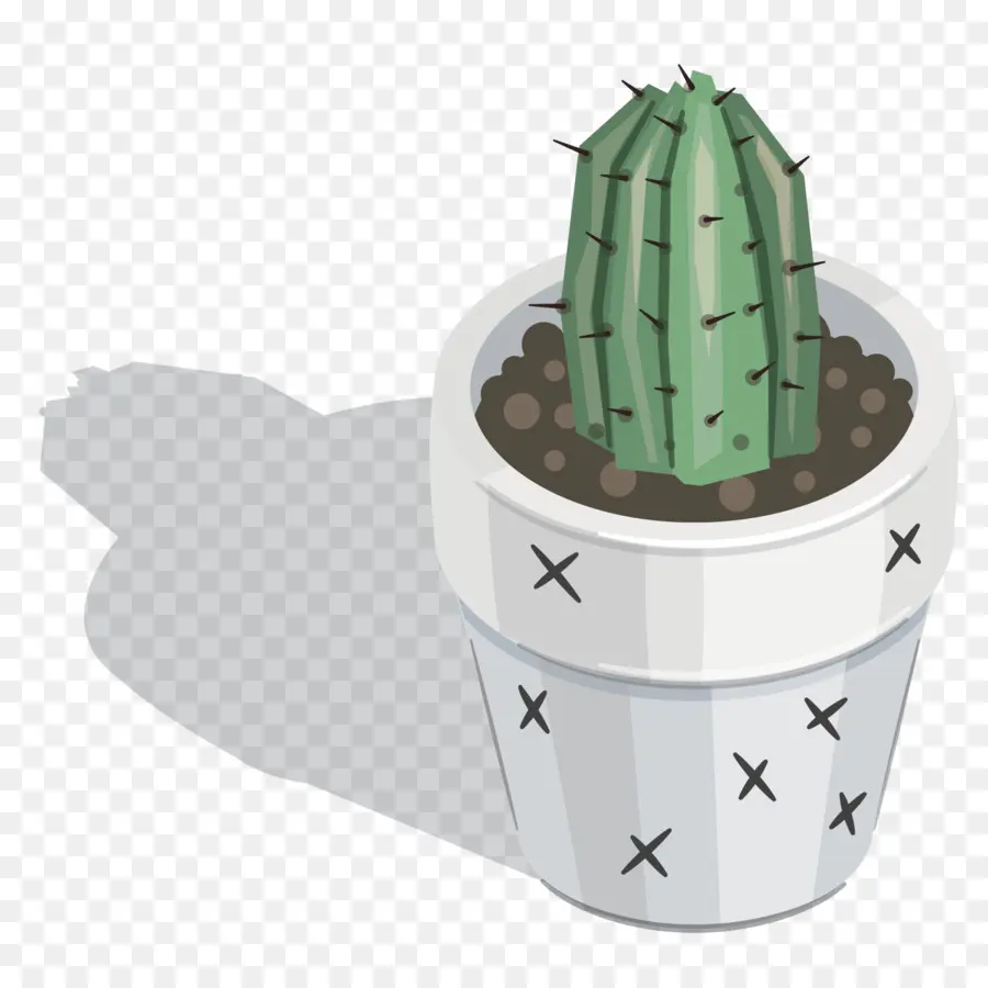 Cactaceae，Planta PNG