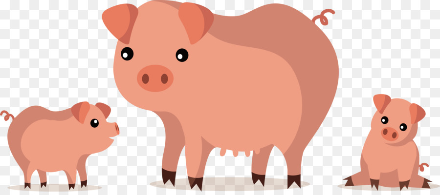 O Porco Doméstico，Kyai PNG