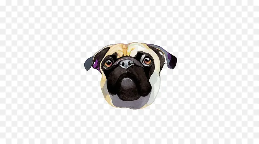 Pug，Shar Pei PNG