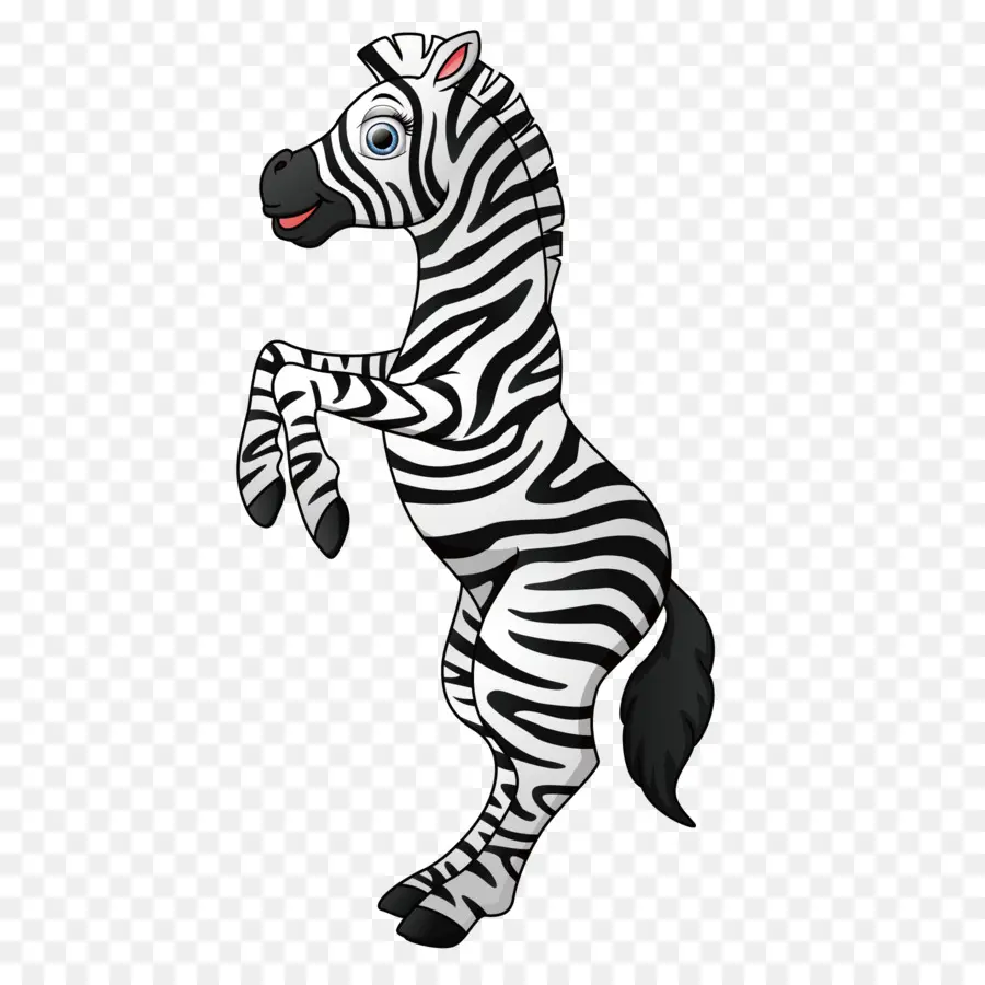 Zebra，Listras PNG