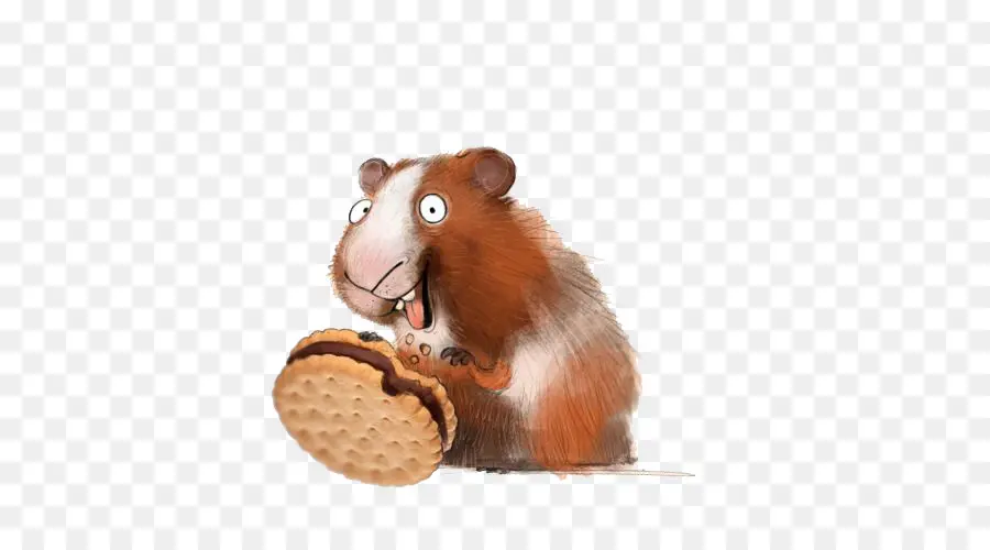 Hamster，Biscoito PNG