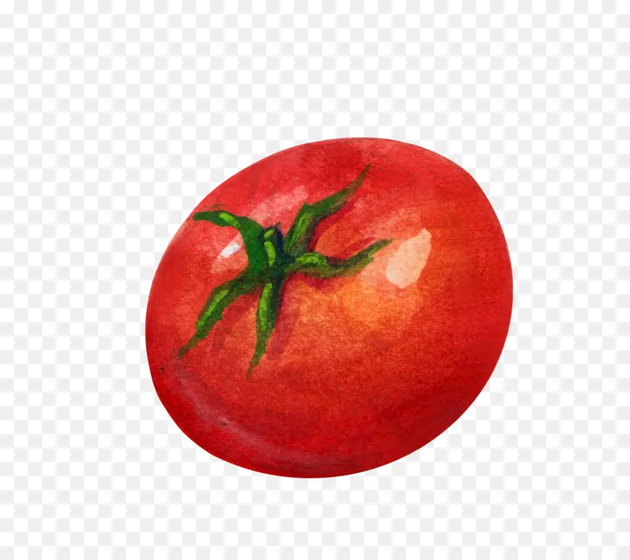 Tomate，Vegetal PNG