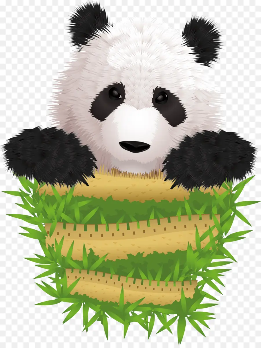 Panda，Cesta PNG