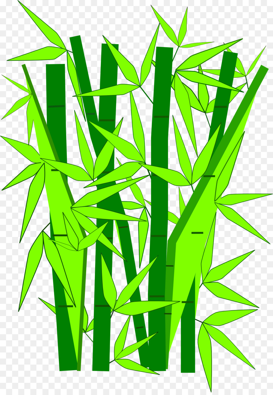 Bambu，Verde PNG