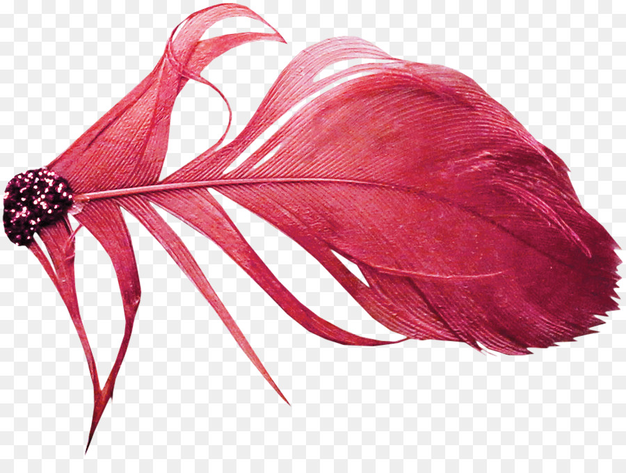 Vermelho，Pena PNG