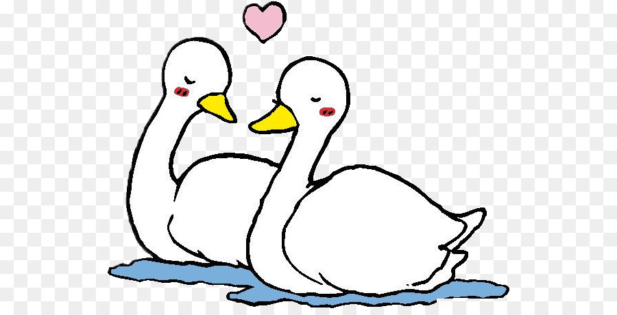 Cisnes，Amor PNG