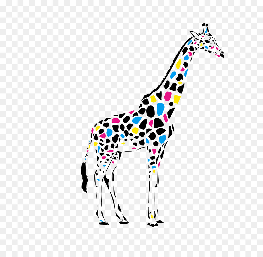 Girafa Colorida，Manchas PNG