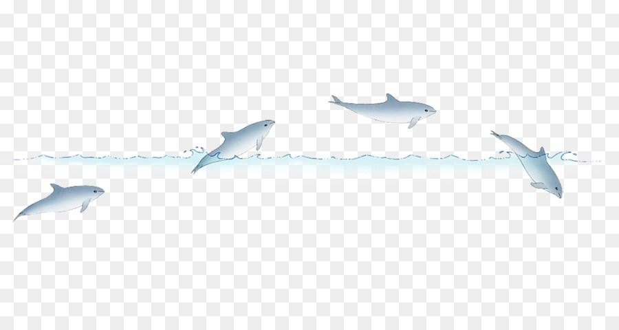 Ilustração De Estoque，Dolphin PNG