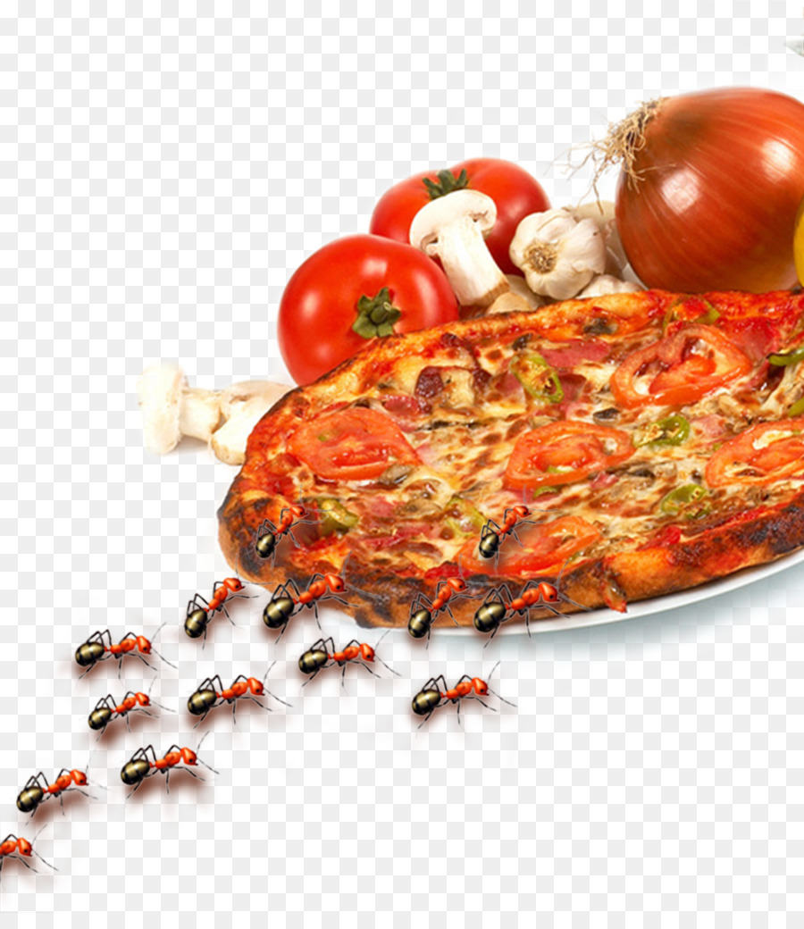 Pizza Com Formigas，Insetos PNG