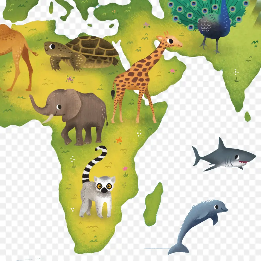 Mapa Animal，Animais PNG