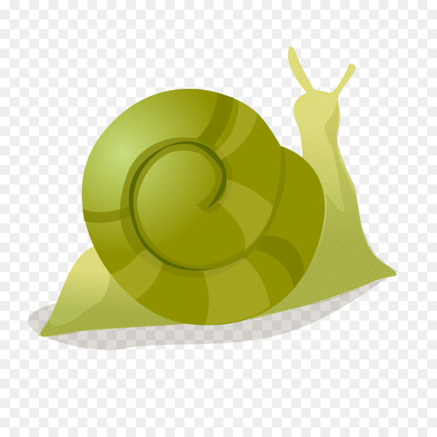 Caracol Verde，Concha PNG