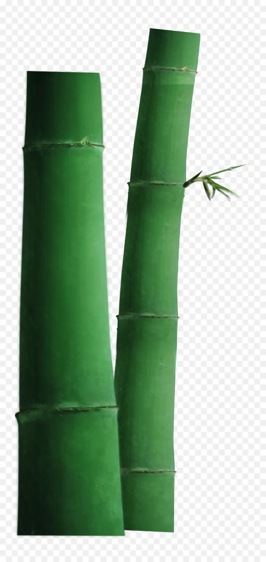 Bambu Verde，Perseguir PNG