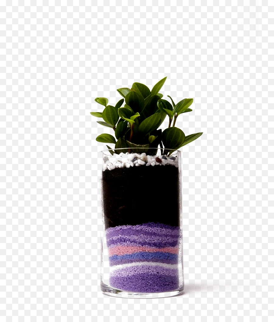 Flowerpot，Planta PNG