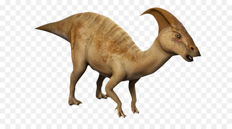 Parasaurolophus，Tiranossauro PNG