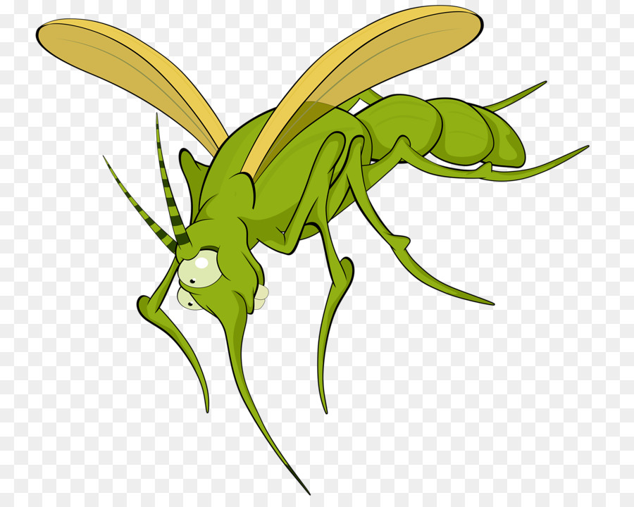 Mosquito De Desenho Animado，Erro PNG