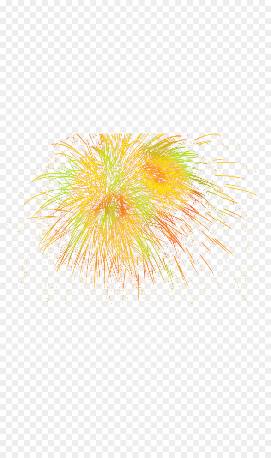 Fogos De Artifício，Colorido PNG