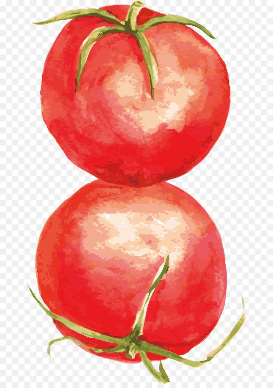 Tomate，Alimentos PNG