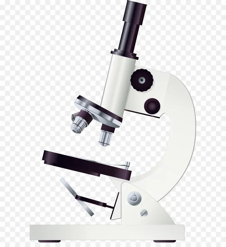 Microscópio，Fotografia De Stock PNG