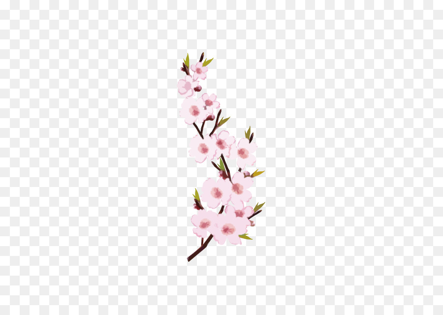 Flores Cor De Rosa，Filial PNG