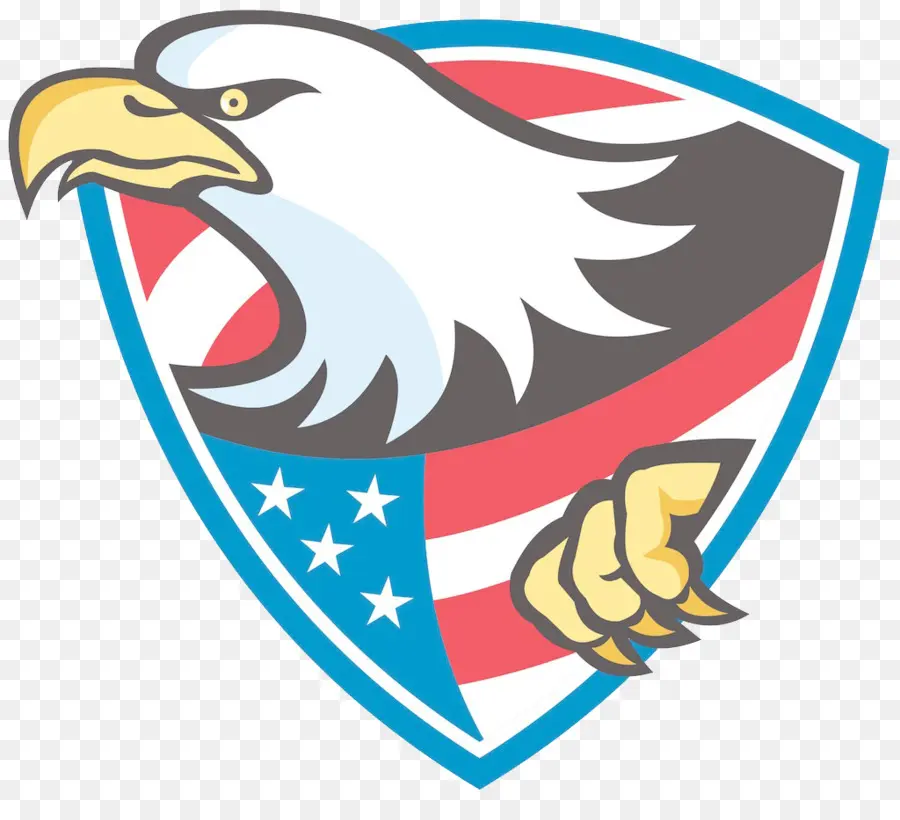 Estados Unidos，águia Careca PNG